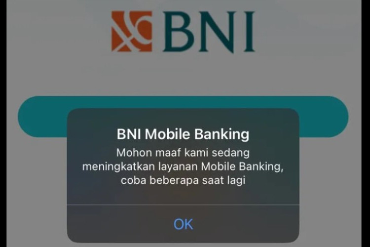 Wondr by BNI Error dan Tidak Bisa Dibuka, Pengguna Keluhkan Gangguan Layanan! Begini Cara Mengatasinya