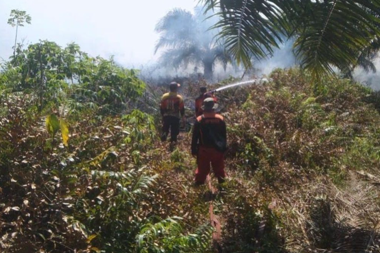 Karhutla di Kobar Kalteng Kepung 3 Kecamatan Dalam Waktu 2 Hari, Damkar Kesulitan Menjinakkan Api 