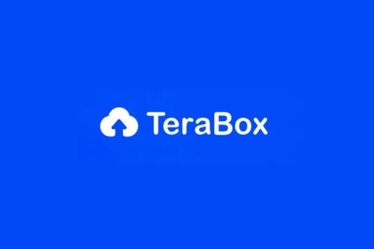 Terabox Error? Begini Solusi Terpercaya Ketika Tidak Bisa Dibuka di Android & iPhone
