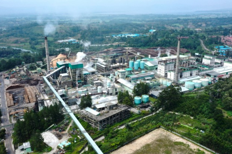 PT. Toba Pulp Lestari Milik Siapa? Sejarah Singkat Pabrik Produksi Bubuk Kertas yang Sedang Banyak Dibicarakan
