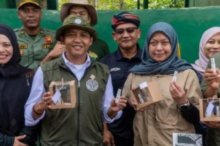 KPK Sita 12.000 Dolar Singapura Kasus Suap Menhut Raja Juli Antoni: Kasus Lahan Kuansing Berasal dari Pungutan Petani