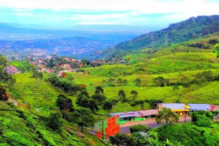 Jadwal Buka-Tutup Jalur Puncak Bogor Hari Ini, Rekayasa Lalu Lintas One Way Atasi Peningkatan Arus Wisata