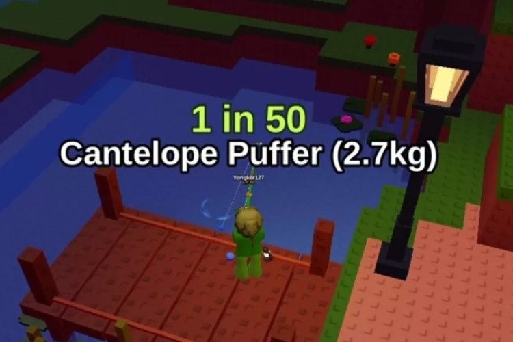 Lokasi Cantaloupe Puffer Fish It, Ikan Unik yang Curi Perhatian Penggemar Roblox