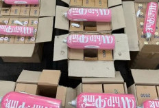 Bareskrim Polri Panggil Asisten Pribadi YouTuber RA Untuk Pemeriksaan Kasus Peredaran Whip Pink