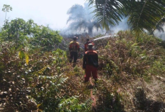 Karhutla di Kobar Kalteng Kepung 3 Kecamatan Dalam Waktu 2 Hari, Damkar Kesulitan Menjinakkan Api 