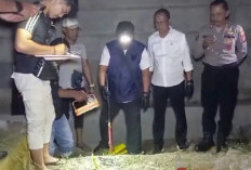 Fakta dan Kronologi Aksi Jahanam Suami Bunuh Bidan RSUD Besuki Situbondo, Cemburu Buta Buat Gelap Mata