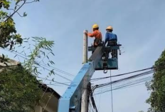 Jadwal Pemadaman Listrik Jogja 23 Juni 2026, PLN Himbau Warga Supaya Tidak Mengganggu Aktivitas Kelistrikan