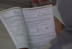 Daftar Pertanyaan Sensus Ekonomi 2026, Kegiatan Krusial Sebagai Potret Lanskap Ekonomi Digital Baru