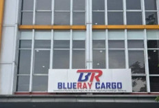 PT Blueray Cargo Milik Siapa? Kini Pemilik Terseret Kasus Suap Bea Cukai , Nama Raffi Ahmad Juga Ikut Disorot